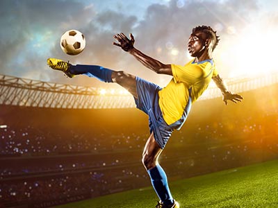 東南墨爾本鳳凰鵜鶘今日賽事